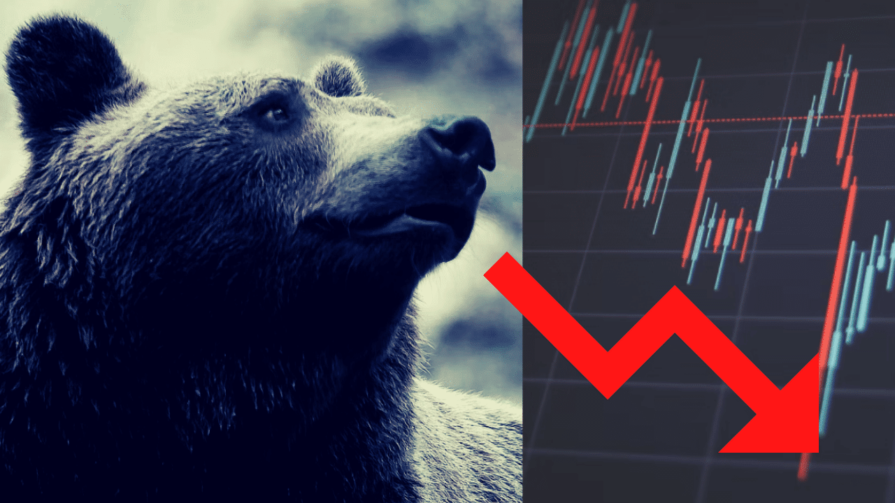 medvedí trh