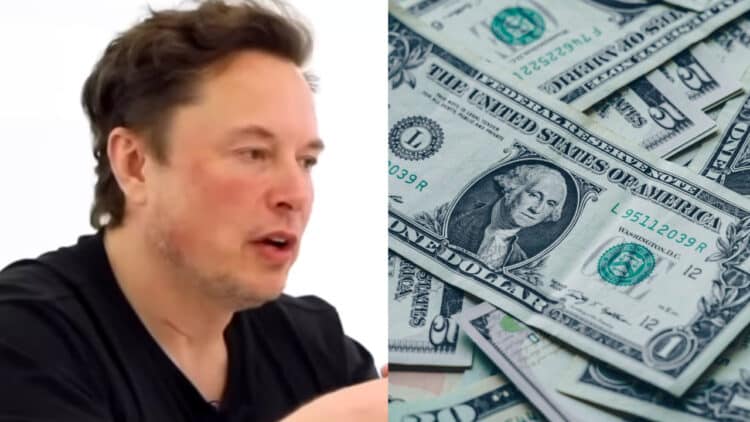 Elon Musk dolár