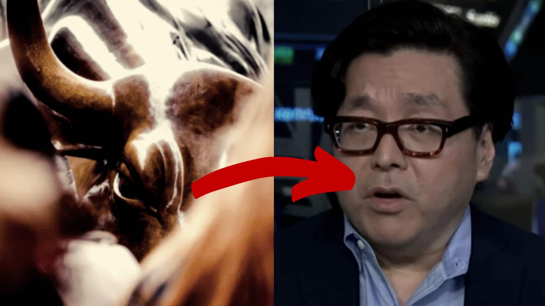 Tom lee