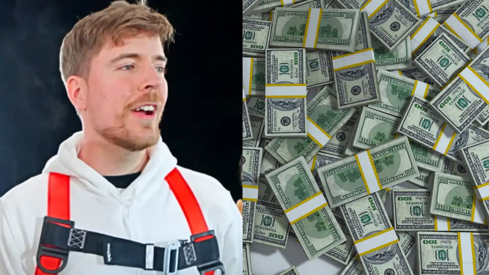 Mr. Beast