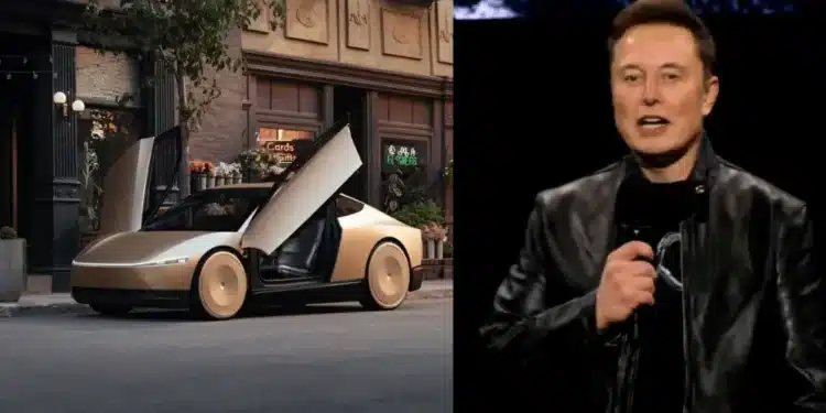 Tesla Robotaxi a Elon Musk