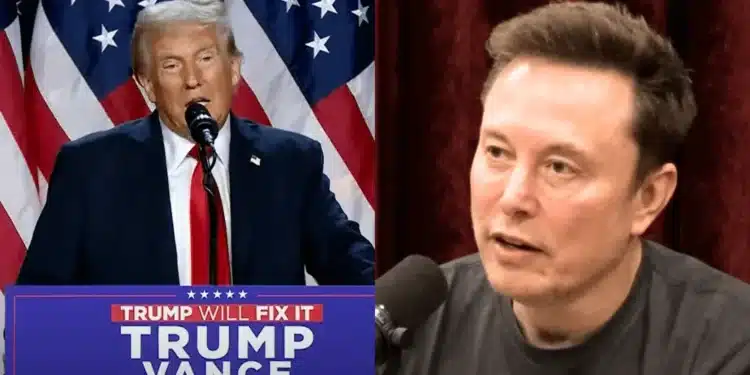 Donald Trump a Elon Musk