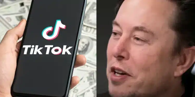 Elon Musk a TikTok