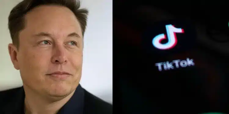 Elon Musk a TikTok