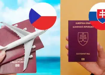 slovenský a český pas