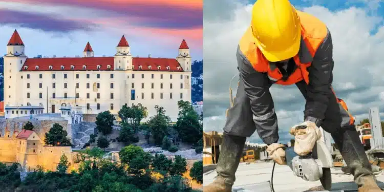 Trh práce, Slovensko