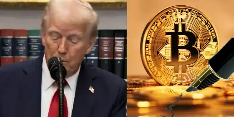 Donald Trump Bitcoin