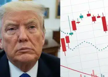 Donald Trump, akcie