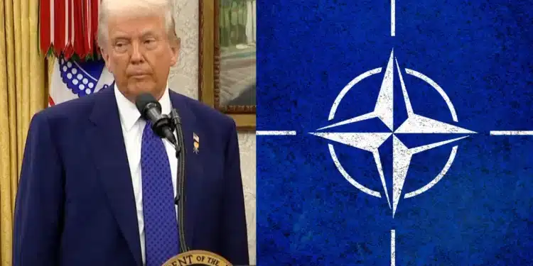 Donald Trump a NATO