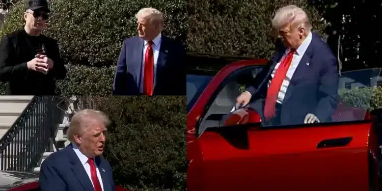 Donald Trump, Elon Musk a Tesla