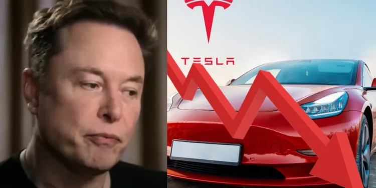 Tesla Musk
