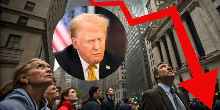 Trump investori