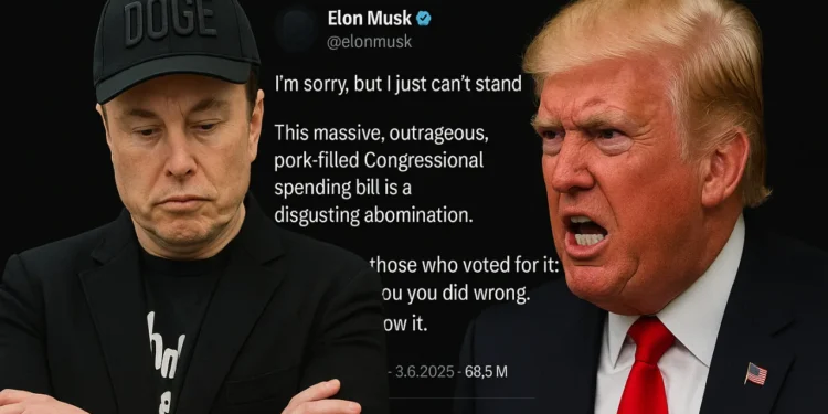 Elon Musk Donald Trump