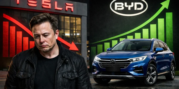 Byd Tesla Musk