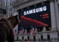 Samsung Medved